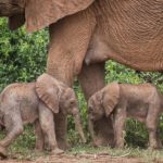 This week is dedicated to the amazing #wildlife of the areas we visit.